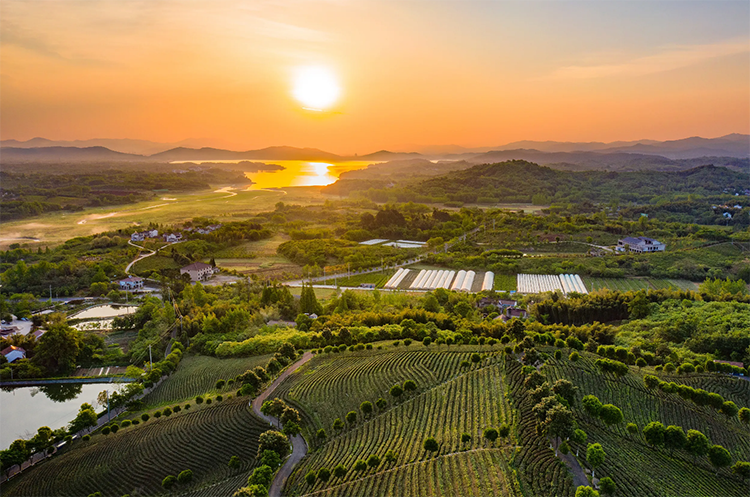 江苏省省长许昆林现场督办中央生态环保督察通报典型案例整改工作 以最严态度最快速度最大力度狠抓整改