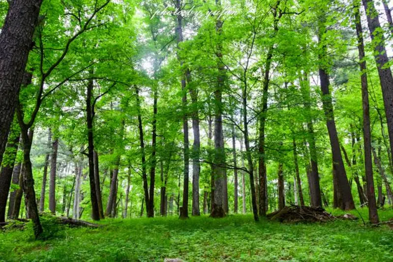 生态环境部党组举行理论学习中心组集体学习